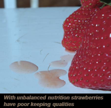 Clear market requirement