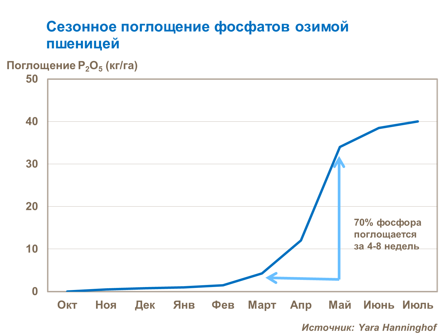 Сезонное пошлощение фосфатов озимой пшеницей