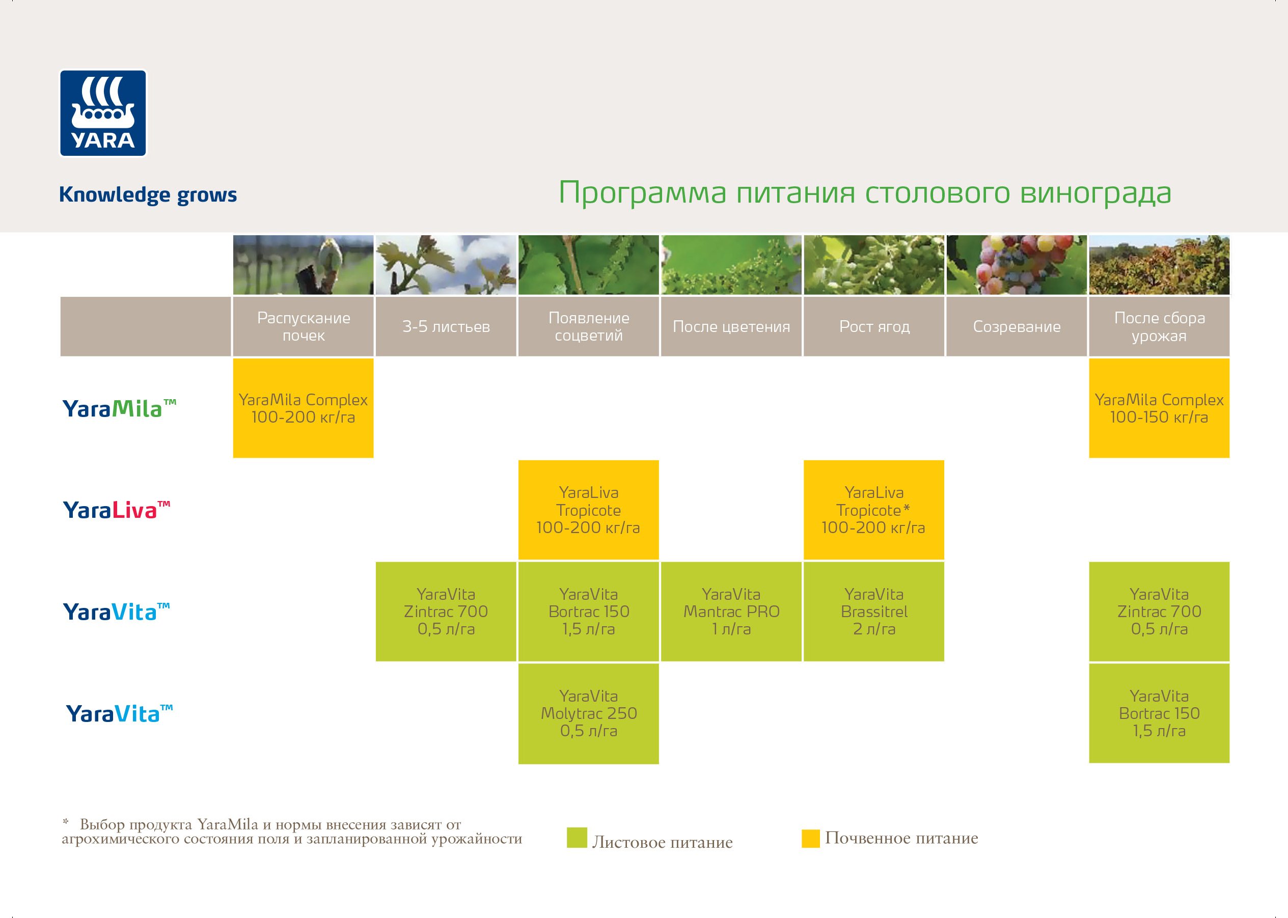 Питание винограда