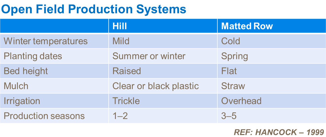Open field production