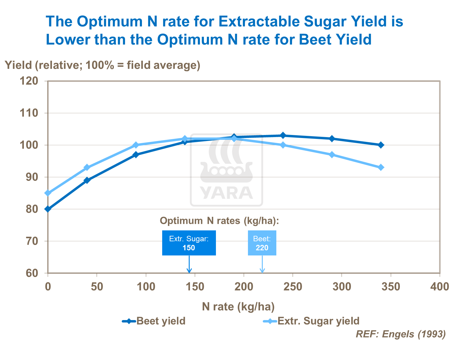 Sugar Beet Quality 5