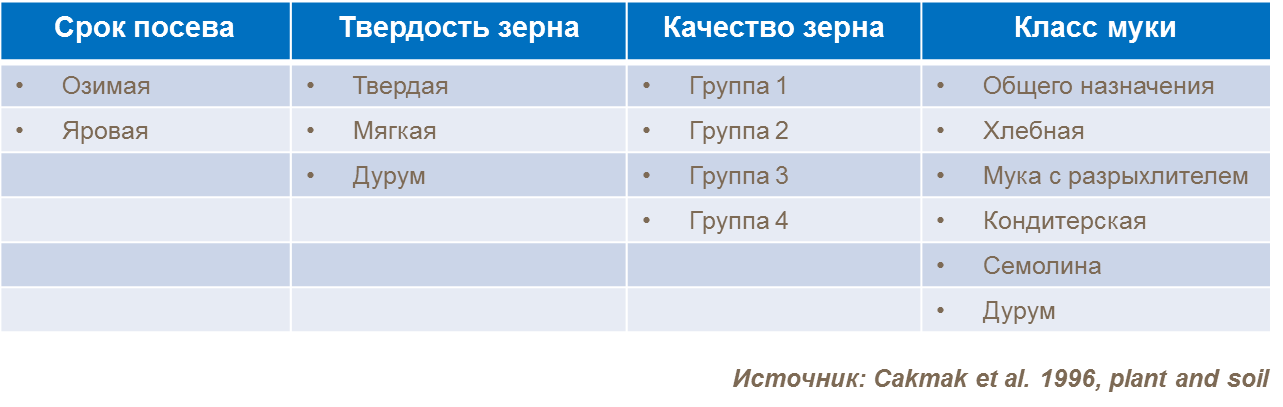 Классификация пшеницы