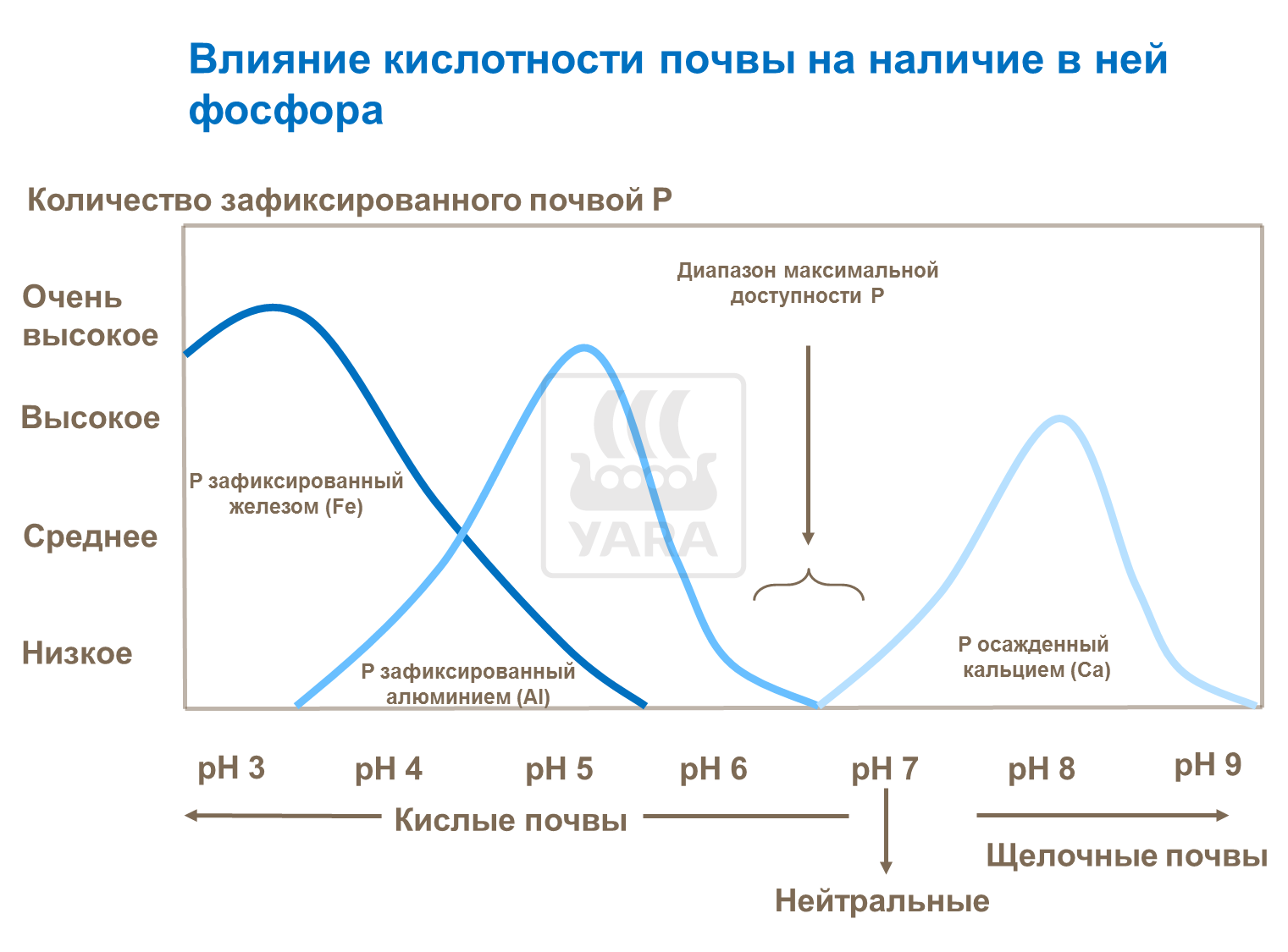влияние кислотности почвы