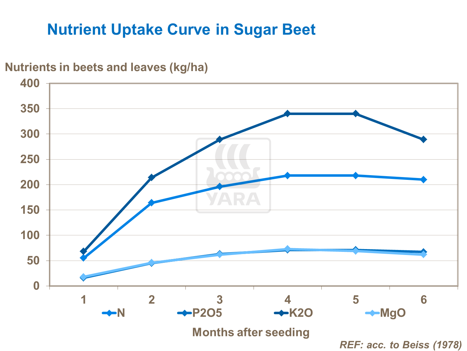 Питание свеклы 1