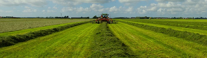 Сталий розвиток сільського господарства