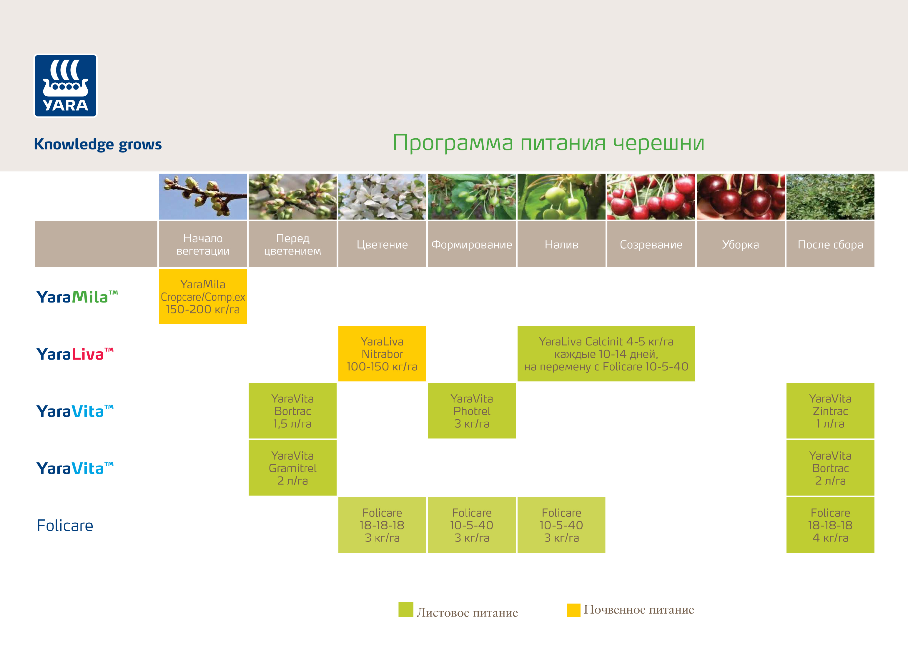 Питание черешни