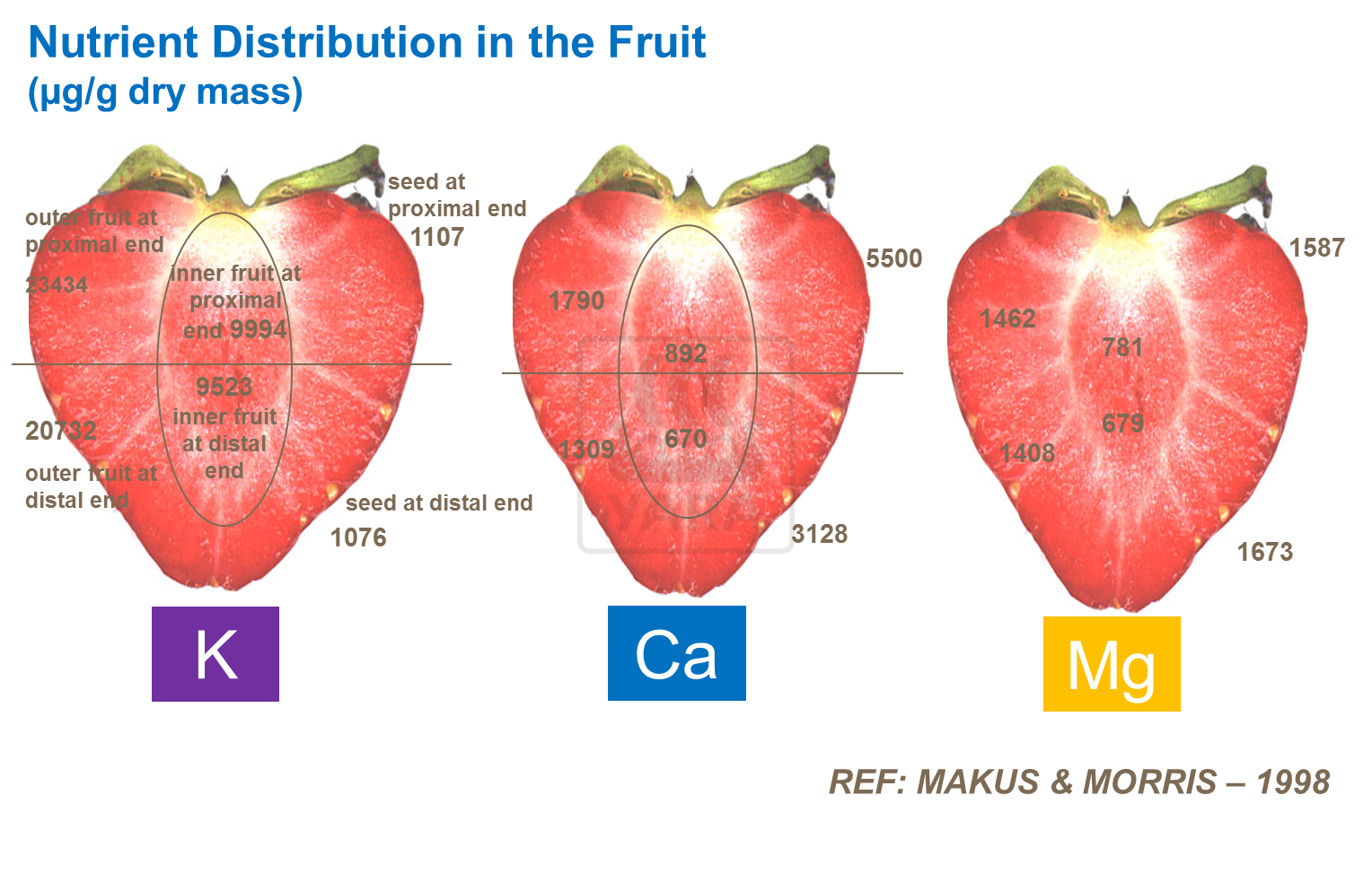 Nutrient Distribution