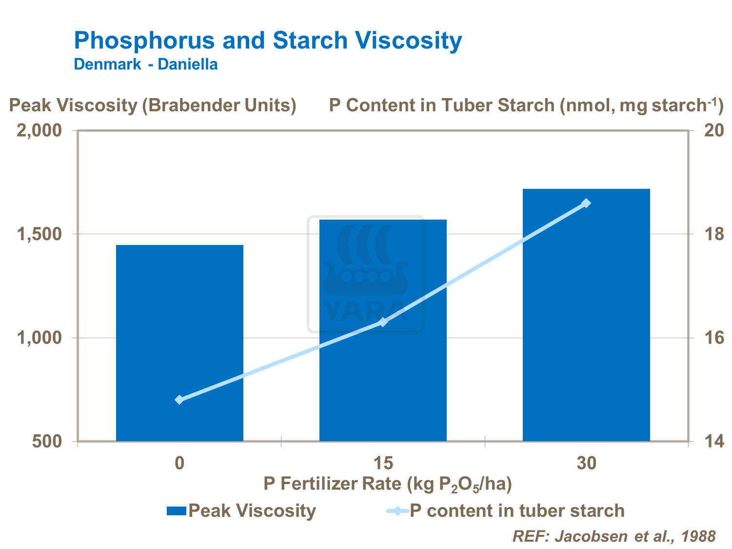 Phosphorous effect on starch