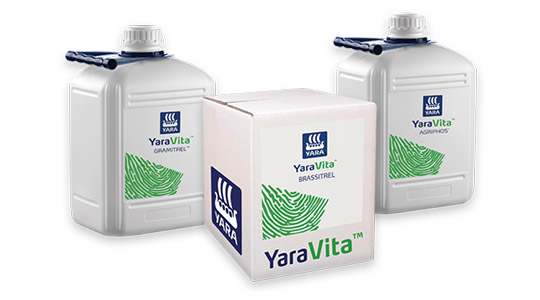 Портфолио YaraVita